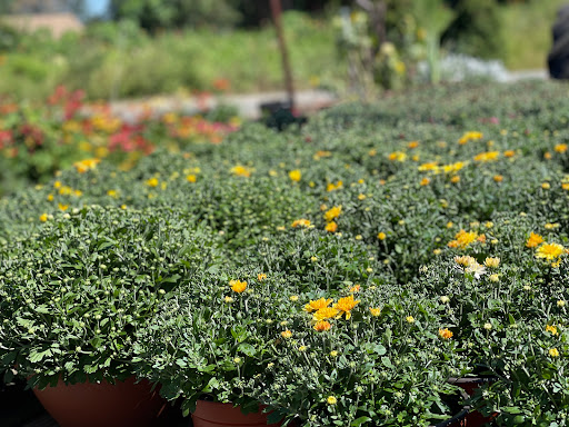 Home Improvement Store «The Home Depot», reviews and photos, 85 Main St, Tewksbury, MA 01876, USA