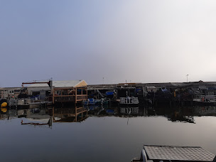 Photo n°53 de Boniface Coquillages à Leucate ()