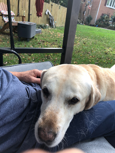 7297 Commerce St, Springfield, VA 22150, USA