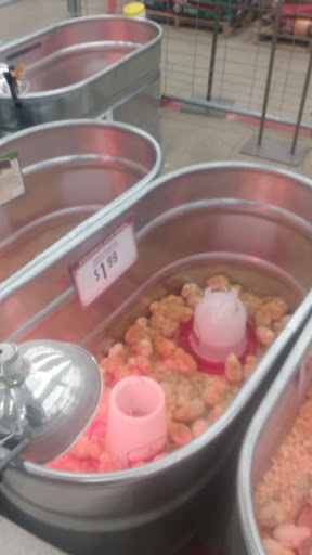 Home Improvement Store «Tractor Supply Co.», reviews and photos, 1424 W Main St Ext #1, Grove City, PA 16127, USA