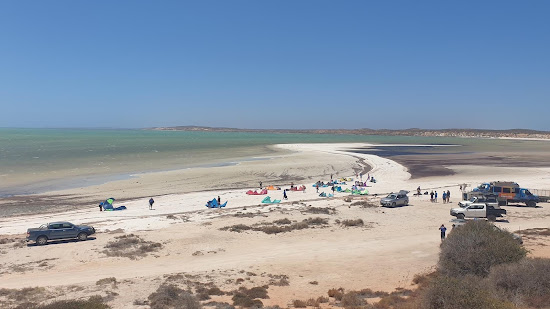 Nicholson Point Shark Bay