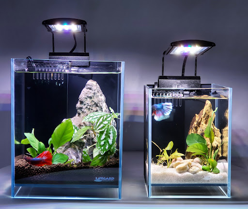 Pet Supply Store «Central Garden & Pet Co», reviews and photos, 13227 Orden Dr, Santa Fe Springs, CA 90670, USA