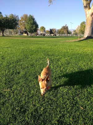 Miles Avenue Park - photo 96