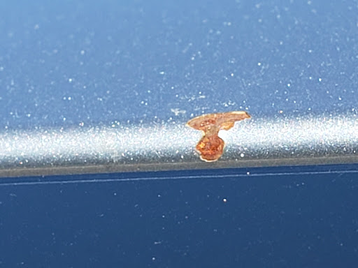 Toyota Dealer «Cain Toyota», reviews and photos