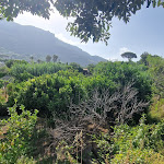 Photo n°1 de l'avis de Tim.o fait le 05/07/2023 à 20:17 sur le  Park Hotel Terme Mediterraneo à Forio