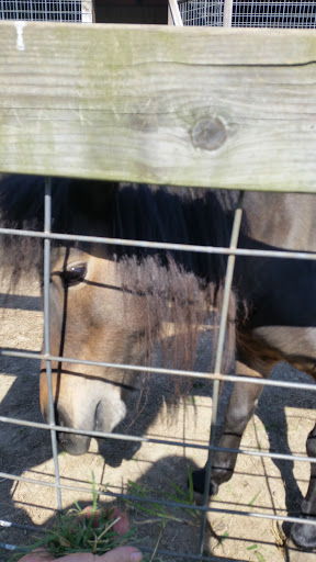 Campground «Hickory Hills Campground», reviews and photos, 499 Dixie Hill Rd, Spencer, IN 47460, USA