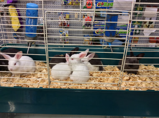 Pet Store «Oasis Tropicals», reviews and photos, 507 Commerce St, Pleasanton, TX 78064, USA