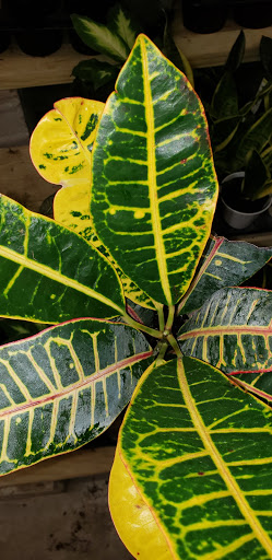 Home Improvement Store «The Home Depot», reviews and photos, 935 Fairmount Ave, Jamestown, NY 14701, USA