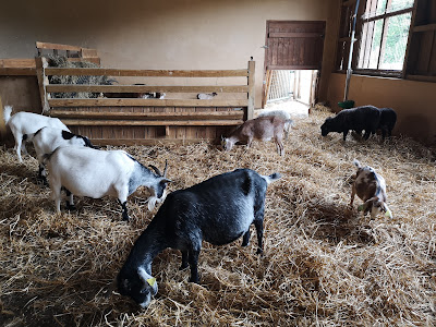 Cottage 457 à Hattigny