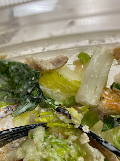 Sandwich Shop «Panera Bread», reviews and photos, 920 Wolcott St, Waterbury, CT 06705, USA