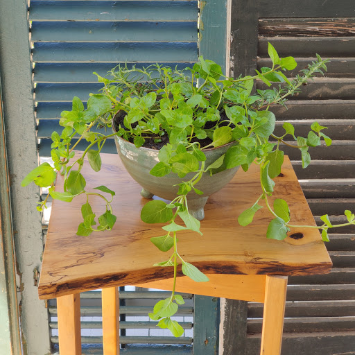 Florist «Florist Of Covington», reviews and photos, 2640 N Hwy 190, Covington, LA 70433, USA