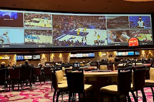 The Sports Bar at Mirage image