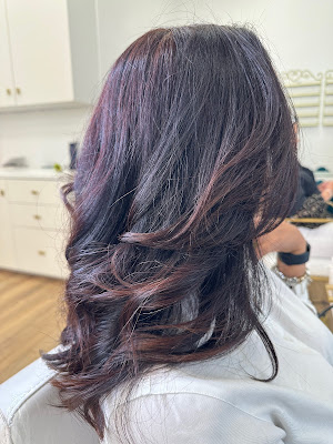 Mademoiselle Brésil Salon à Paris