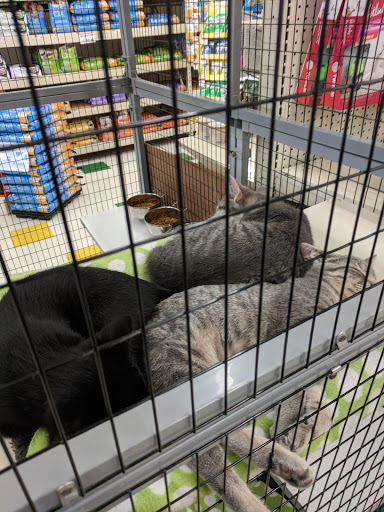 Pet Supply Store «Pet Supplies Plus», reviews and photos, 1240 Seminole Trail, Charlottesville, VA 22901, USA