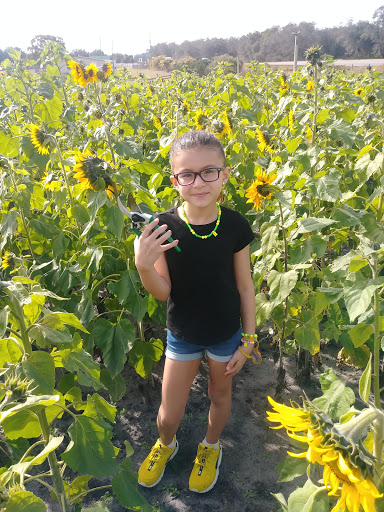 Amusement Center «Stanley Pond Adventure Farm», reviews and photos, 15426 County Rd 48, Astatula, FL 34705, USA