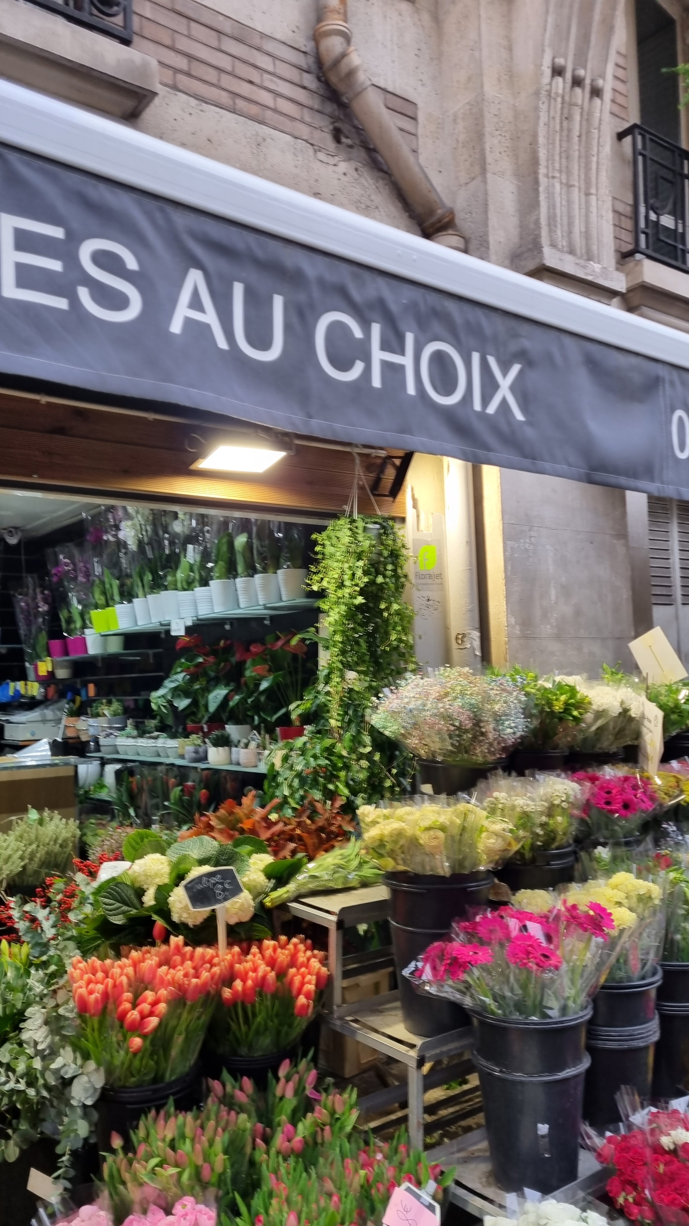 Photo n° 2 de l'avis de Chakameh.o fait le 20/11/2021 à 12:41