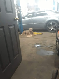 George's Auto Body Inc - Photo 4 - Car repair in Springfield, MA, Springfield