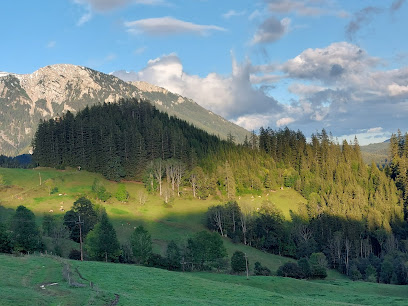 Schutzhütte Falkenstein-Alm