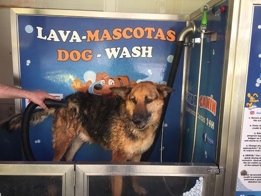 My Mascota - Almuñécar