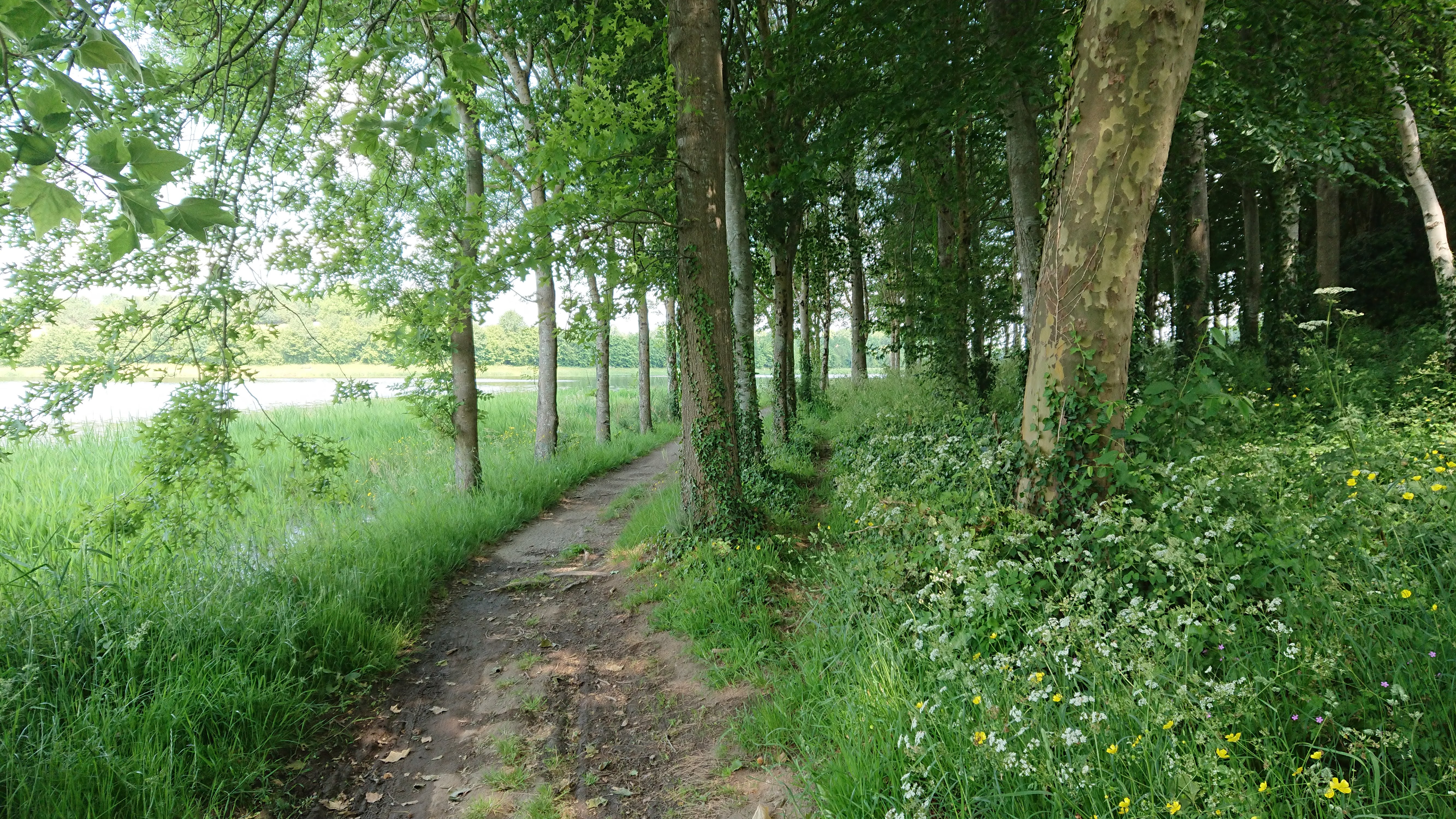 Photo n° 14 de l'avis de Laurent.e fait le 25/05/2018 à 04:39