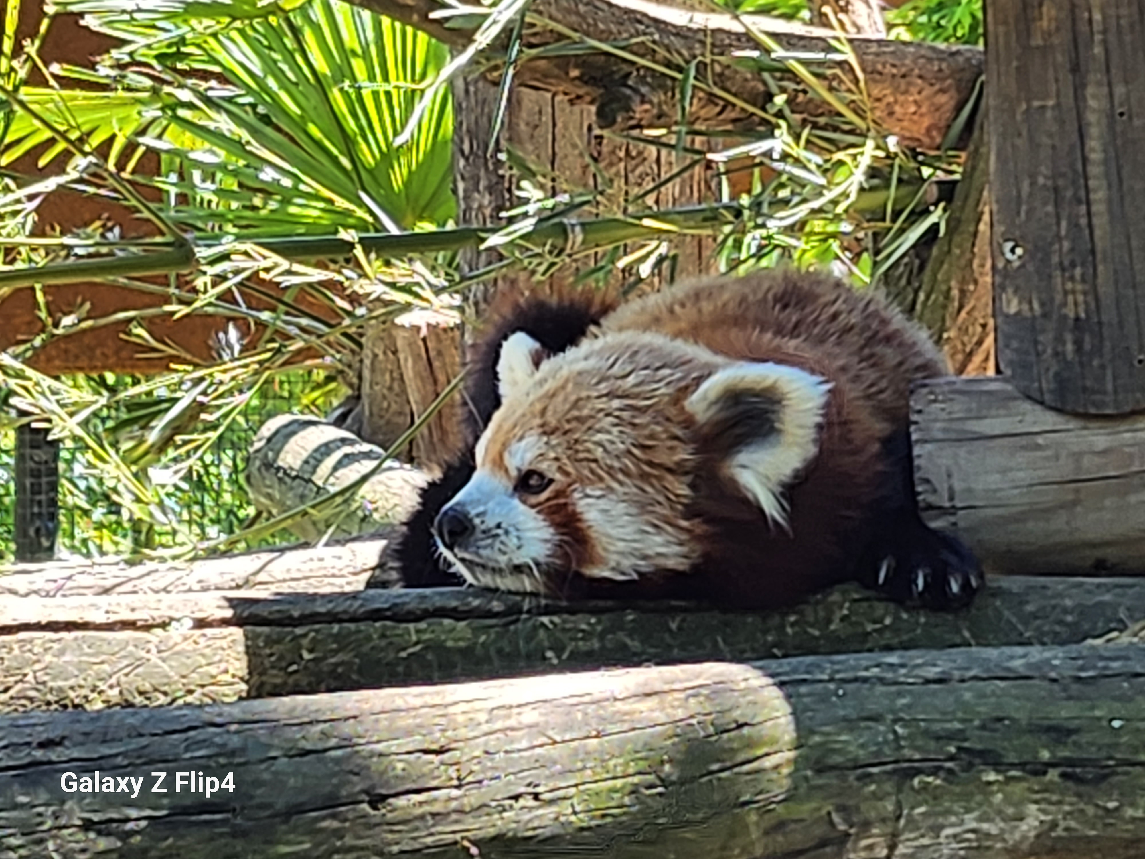 Photo n° 12 de l'avis de pascal.h fait le 02/05/2023 à 19:13