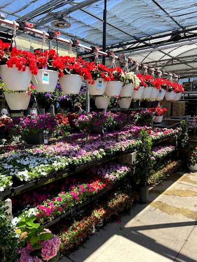 Home Improvement Store «The Home Depot», reviews and photos, 111 Shoreline Pkwy, San Rafael, CA 94901, USA