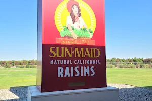 World's Largest Box of Raisins image