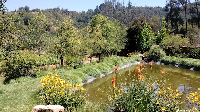 Viña los Perales - Quilpué