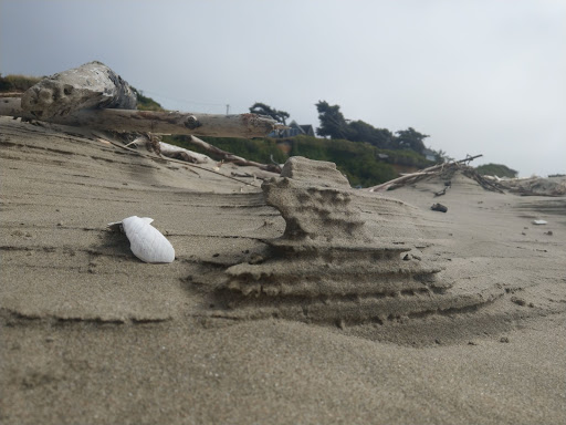 Arena «ShoWare Center», reviews and photos, 625 W James St, Kent, WA 98032, USA