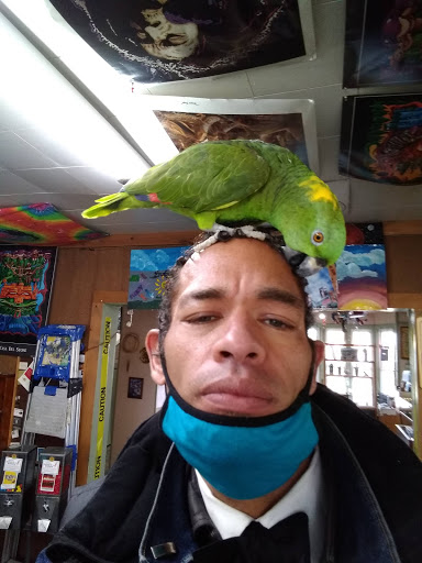 Boutique «Su Casa Boutique», reviews and photos, 1041 N Cedar St, Lansing, MI 48906, USA