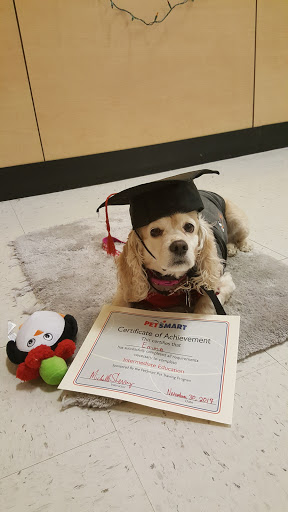 Pet Supply Store «PetSmart», reviews and photos, 1705 N Bechtle Ave, Springfield, OH 45504, USA