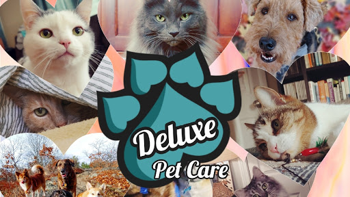 Deluxe Pet Care