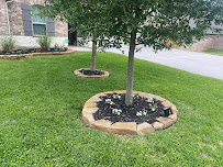 Fernando Romaldo Landscaping Service - Photo 1 - Car repair in , The Woodlands
