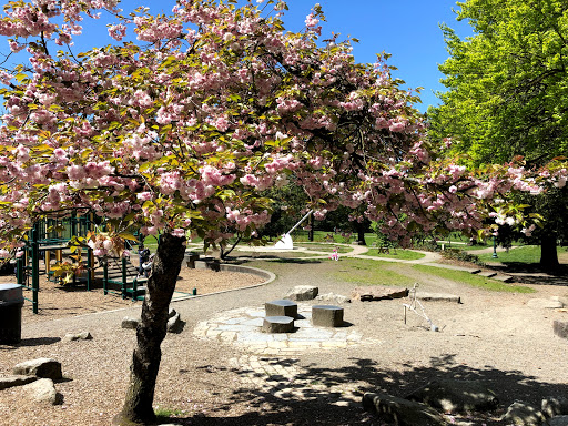 Park «Cowen Park», reviews and photos, 5849 15th Ave NE, Seattle, WA 98105, USA