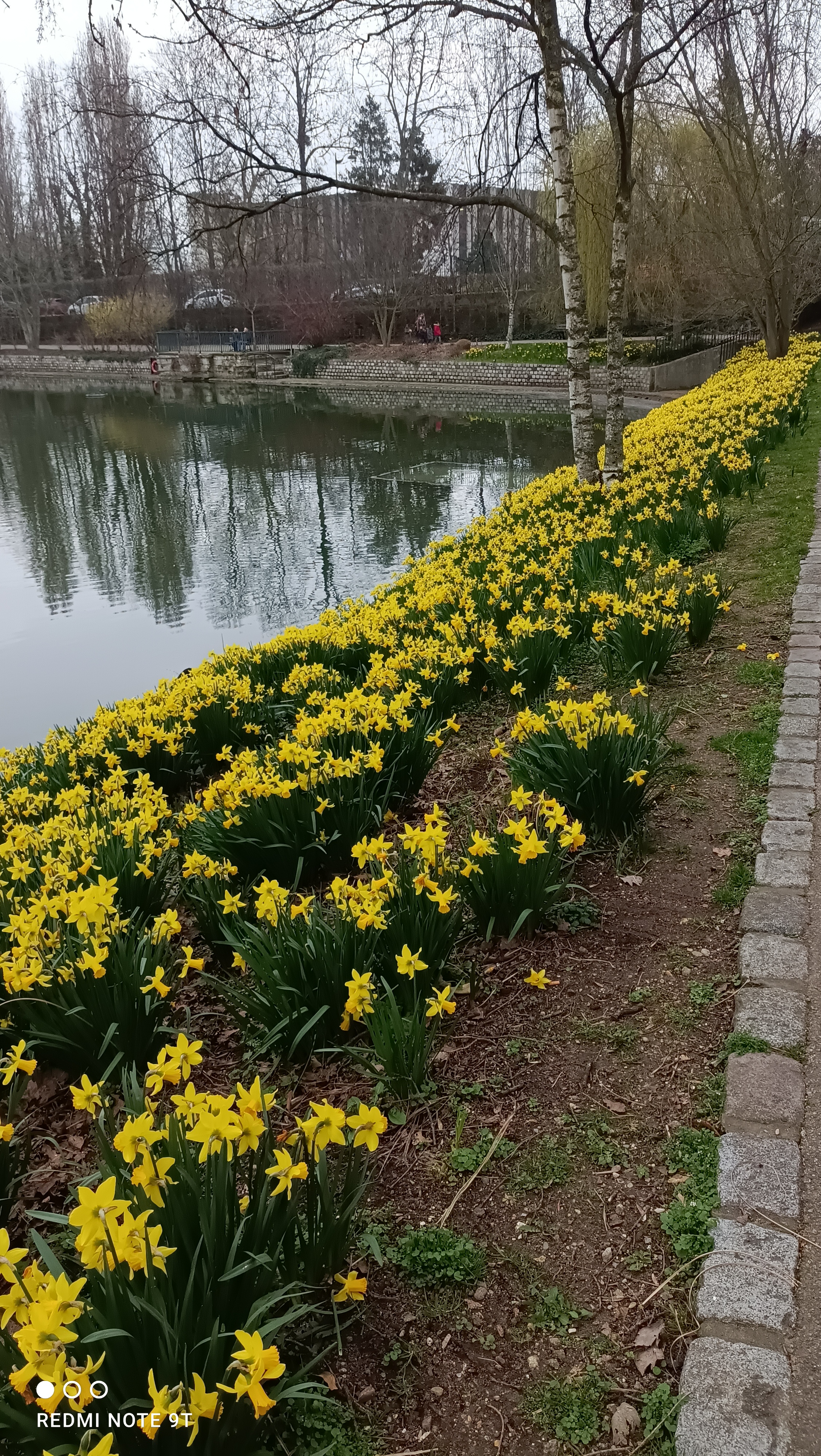 Photo n° 5 de l'avis de BOUBOU.� fait le 17/08/2021 à 05:00