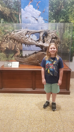 Book Store «Barnes & Noble», reviews and photos, 8117 Sudley Rd, Manassas, VA 20109, USA