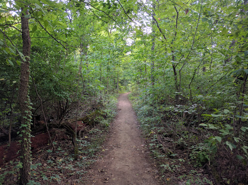 Percy Warner Hiking Trailhead