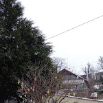 Photo n°1 de l'avis de Ingrid.r fait le 03/04/2022 à 12:54 sur le  Little Bridge Restaurant à Neuenbürg