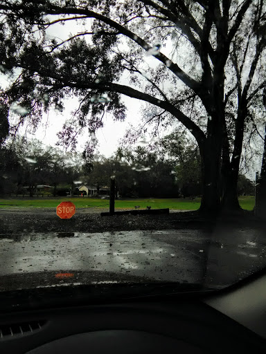 Golf Course «Babe Zaharias Golf Course», reviews and photos, 11412 Forest Hills Dr, Tampa, FL 33612, USA