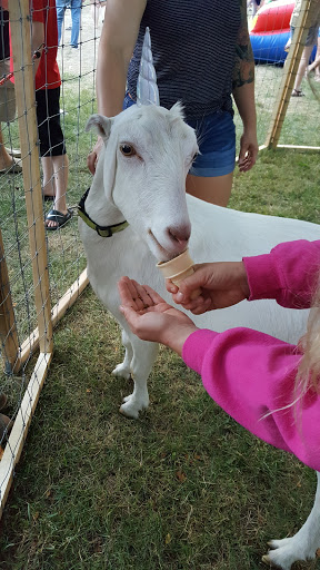 Museum «Curwood Castle Museum», reviews and photos, 224 Curwood Castle Dr, Owosso, MI 48867, USA