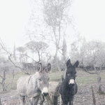 Photo n°2 de l'avis de Domenico. fait le 01/01/2018 à 15:34 sur le  Albergo La Burraia à Pomarance