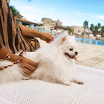 Photo n°9 de l'avis de Luana.e fait le 27/08/2022 à 15:26 sur le  La Restuccia - Masseria Urban à Lequile