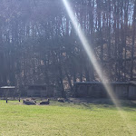 Photo n°16 de l'avis de Nancy.o fait le 19/04/2022 à 02:24 sur le  Boltenmühle à Neuruppin