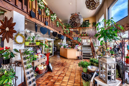 Florist «Cactus Flower Florists», reviews and photos, 10822 N Scottsdale Rd, Scottsdale, AZ 85254, USA