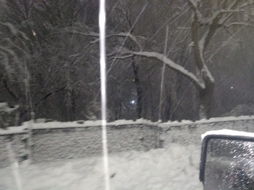 Park «Griggs Park», reviews and photos, 33 Griggs Rd, Brookline, MA 02446, USA