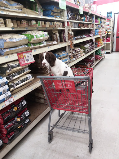 Home Improvement Store «Tractor Supply Co.», reviews and photos, 216 Susquehanna Blvd, West Hazleton, PA 18202, USA