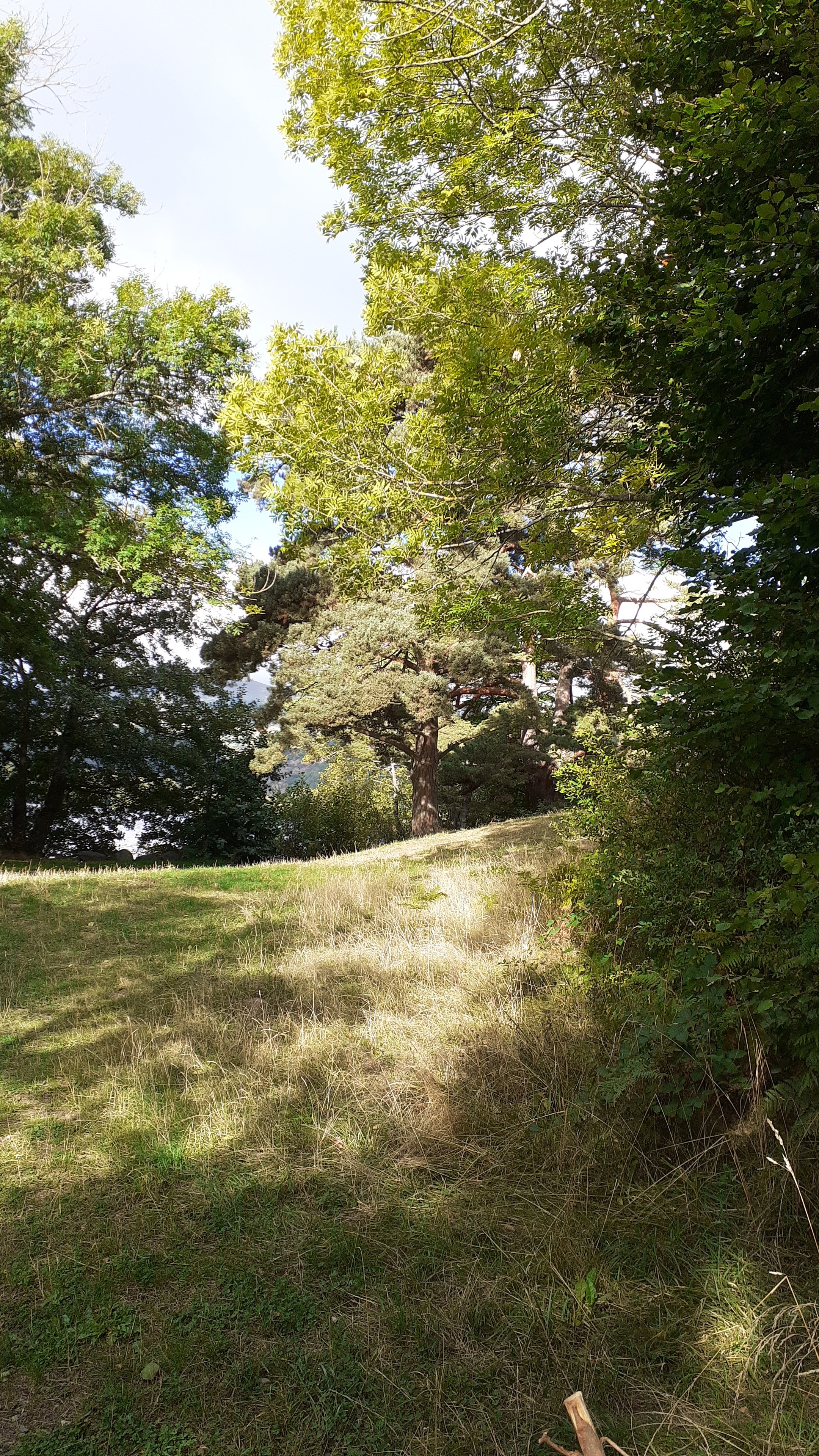 Photo n° 6 de l'avis de Jean.A fait le 17/09/2022 à 13:57