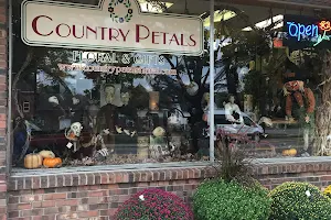 Country Petals Floral and Gifts, INC. image