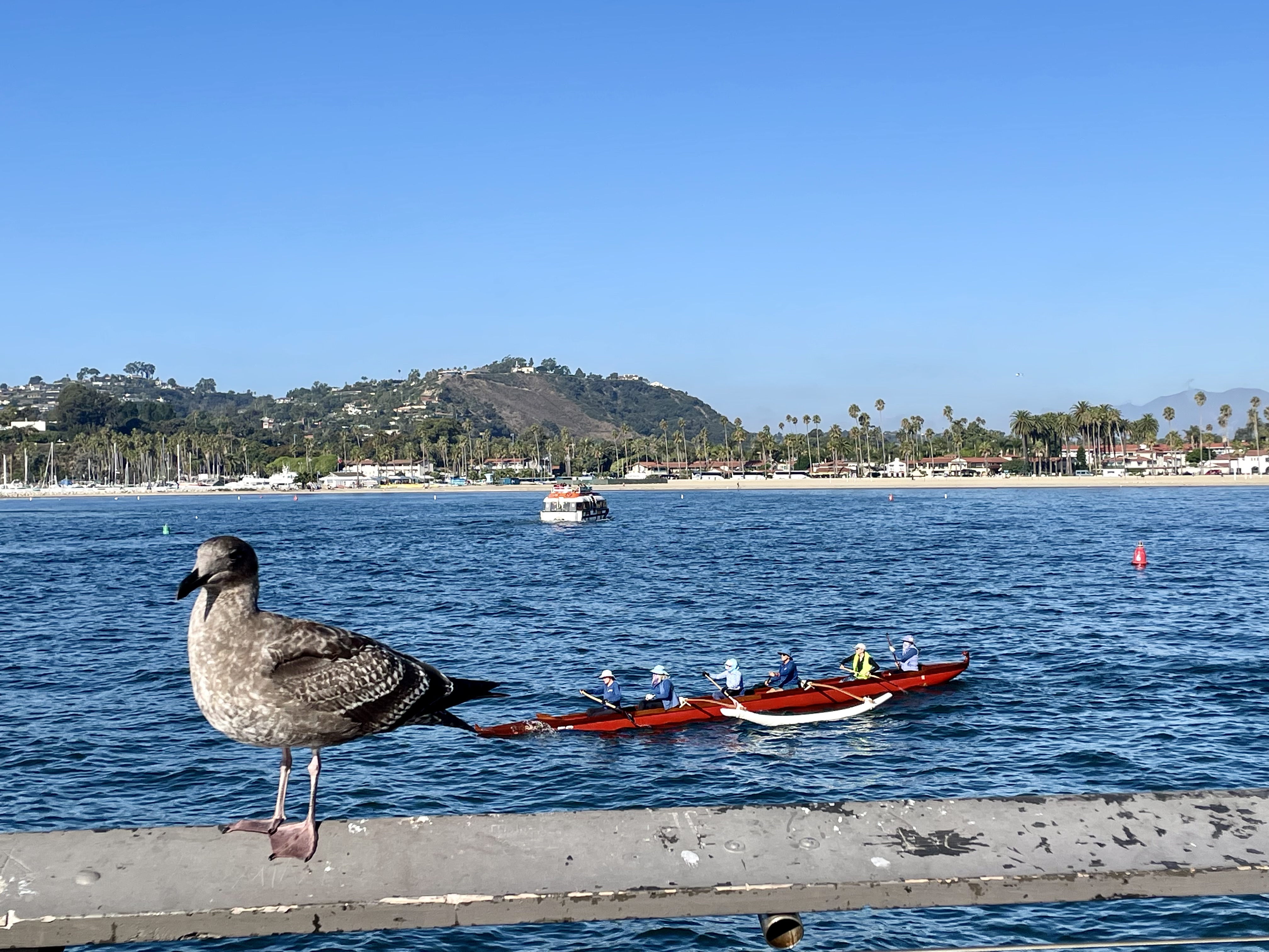 Photo n° 32 de l'avis de organistebis.u fait le 19/10/2023 à 12:11