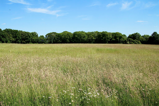  «Mt Hope Farm», reviews and photos, 250 Metacom Ave, Bristol, RI 02809, USA